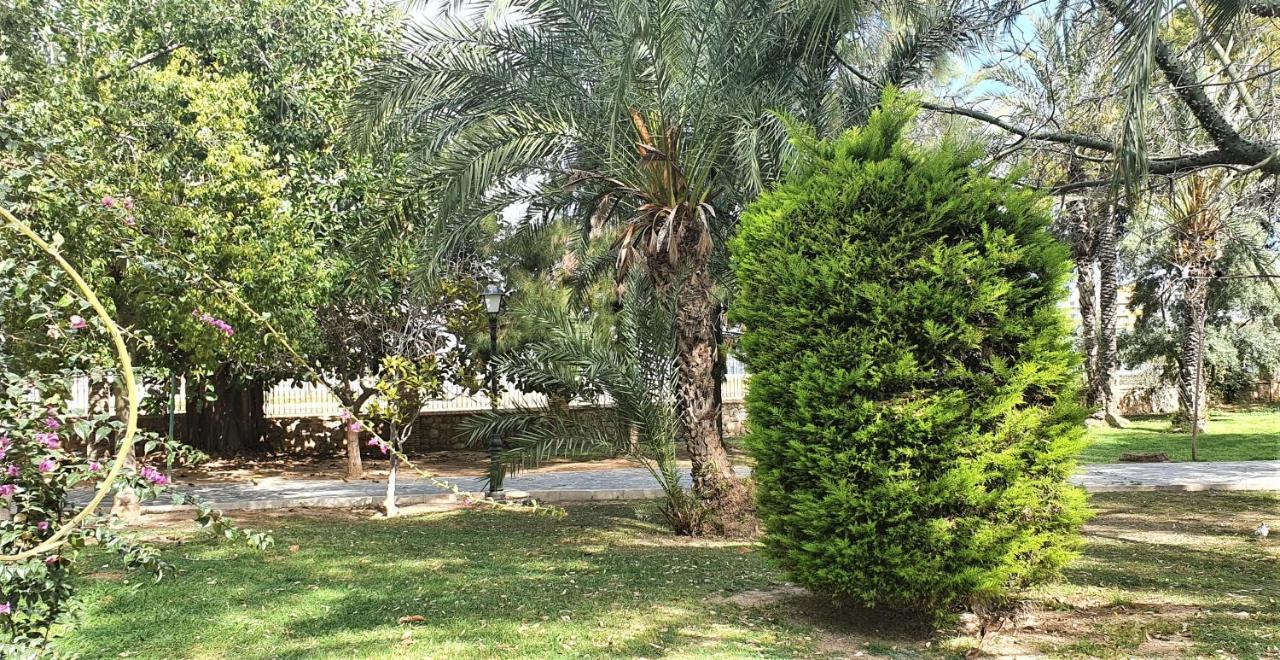 Ecaterina Apartment Torrevieja Ngoại thất bức ảnh