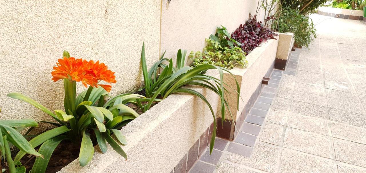 Ecaterina Apartment Torrevieja Ngoại thất bức ảnh